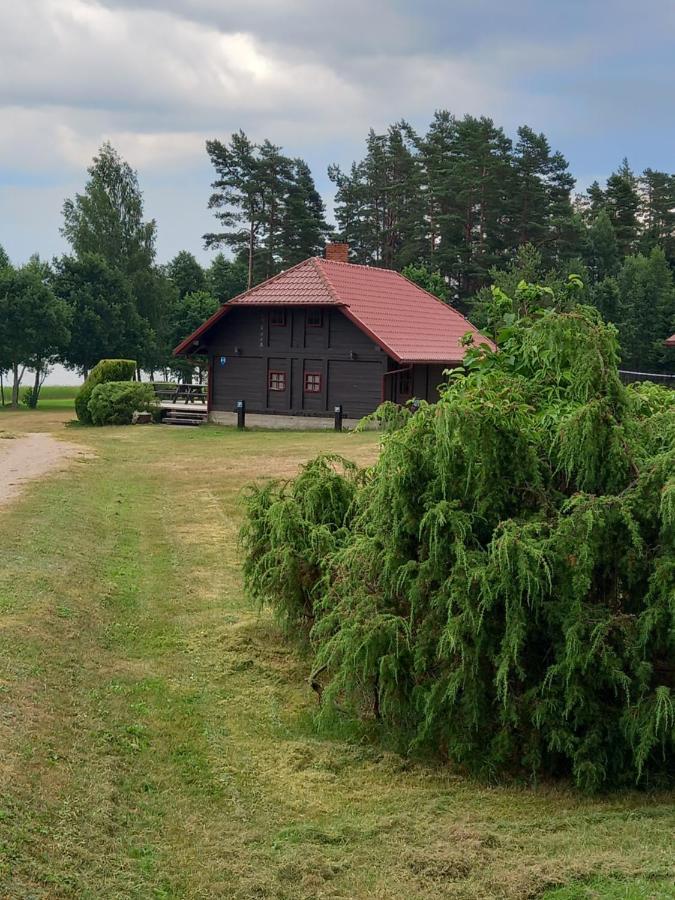 Brivdienu Maja Greizi Myza Dzirtsiyems Exteriör bild